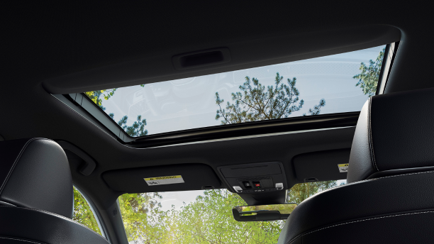 Interior view looking up at and through glass moonroof, showing some treetops. 
