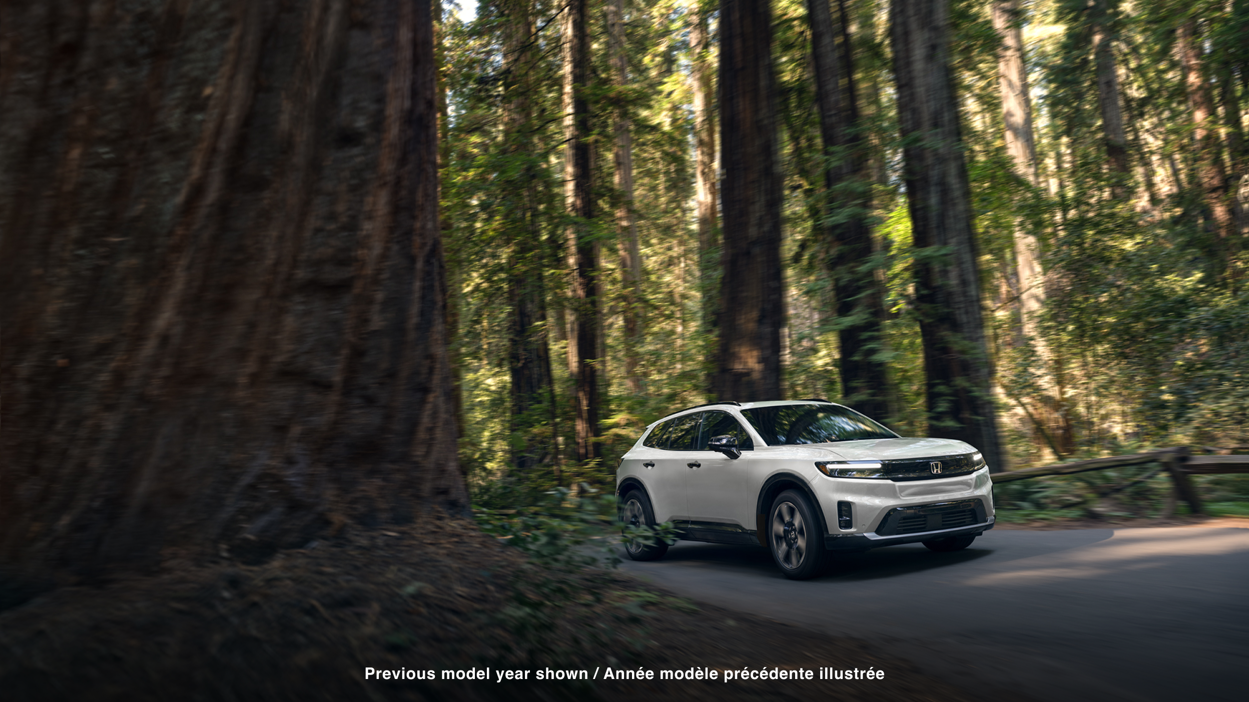 3/4 front side view of white Prologue driving on paved road in a temperate forest.